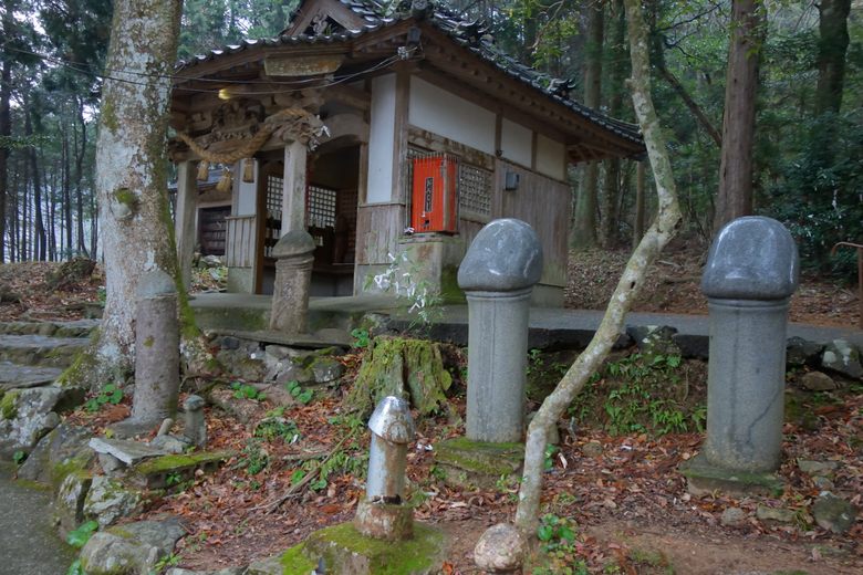 Mara Kannon cover image