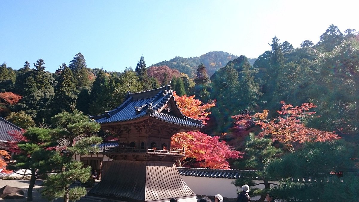 Buttsu-ji Temple cover image