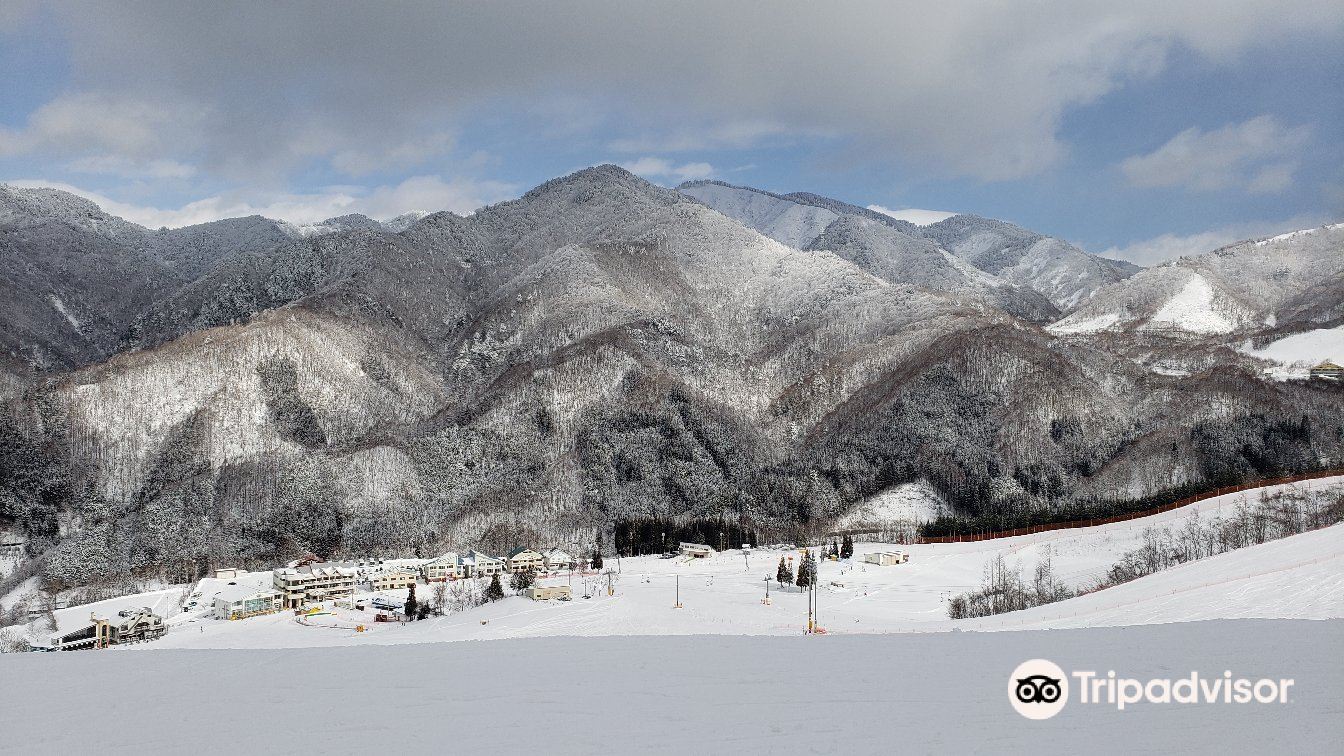 Hida Honokidaira Ski Resort cover image