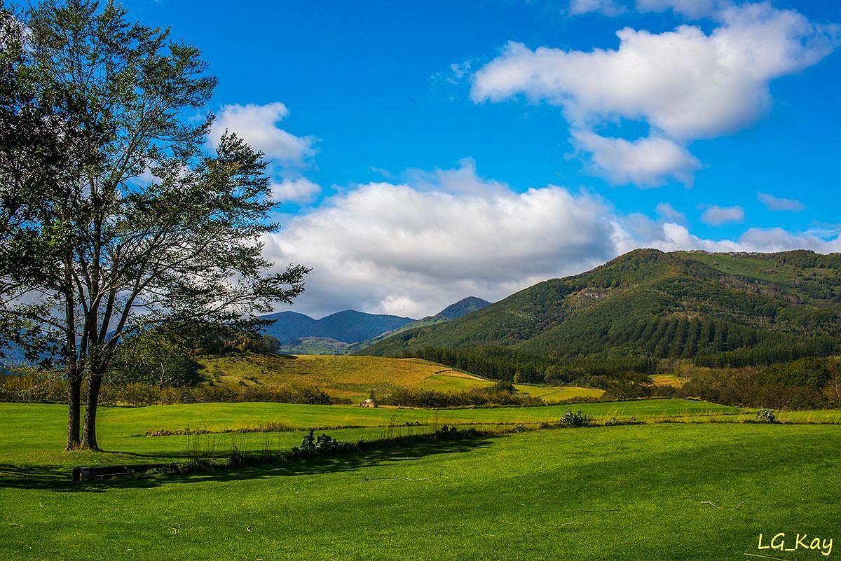 Tokachi Millenium Forest cover image