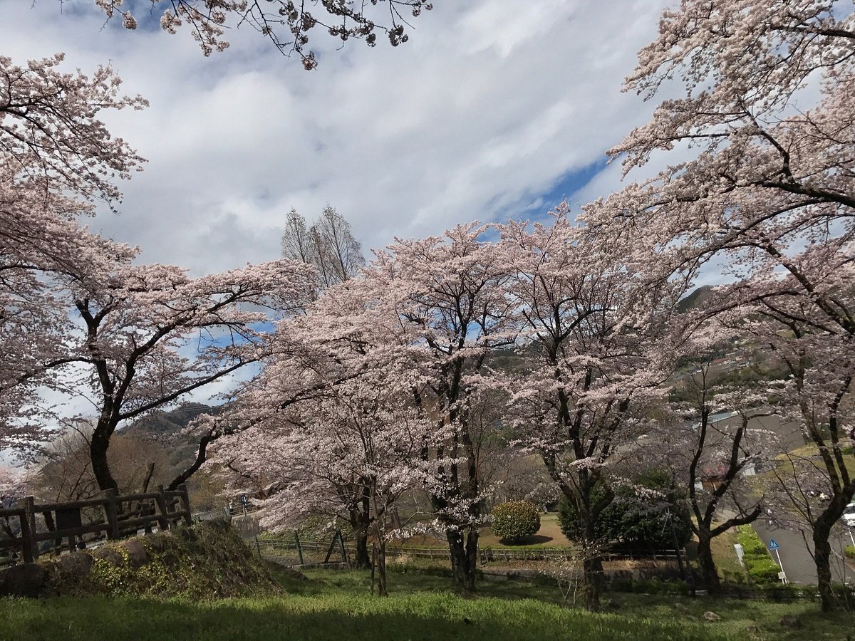Tsukuiko Visitor Center cover image