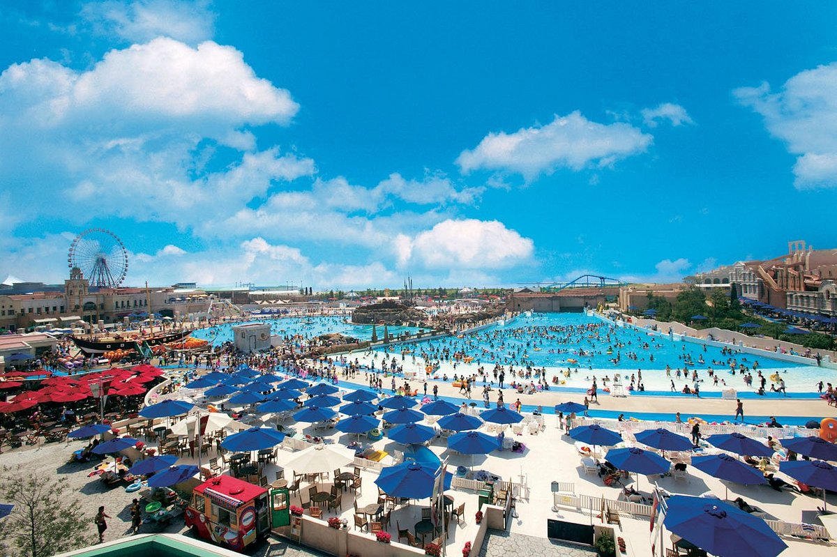 Lagunasia cover image