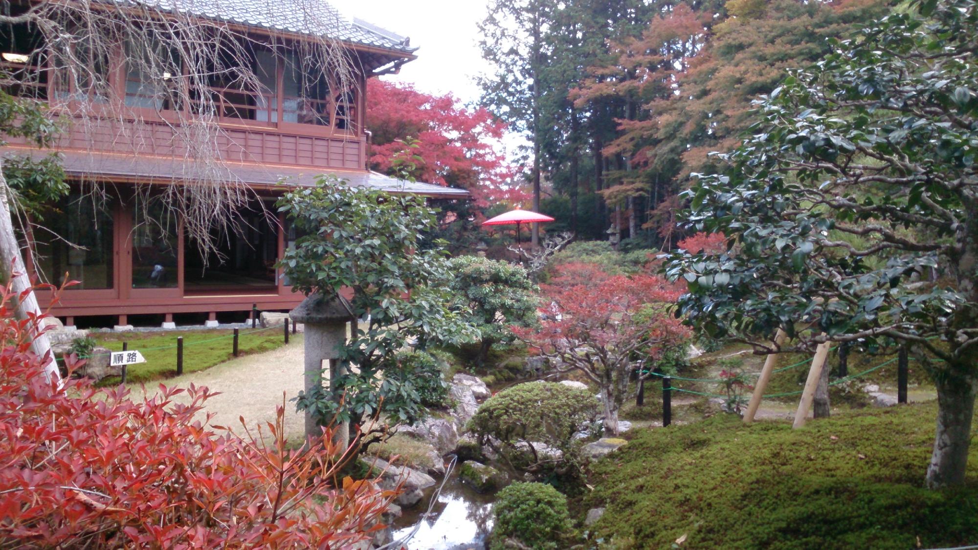Kusatsu River cover image