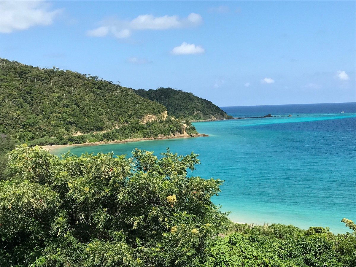 Kurasaki Beach cover image