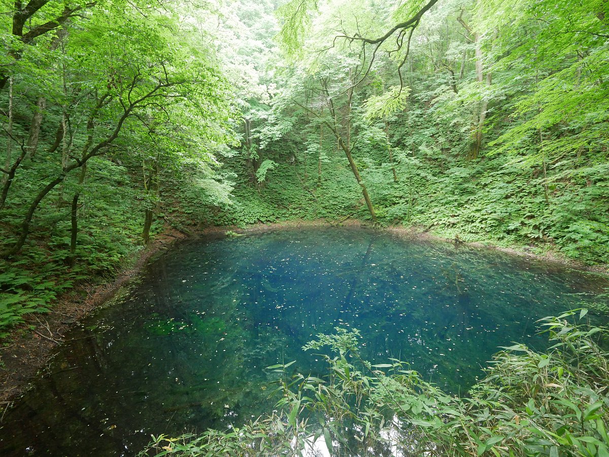 Blue Pond cover image