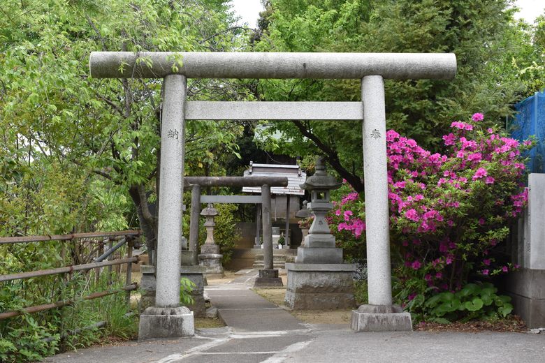 Kenashi Pond cover image