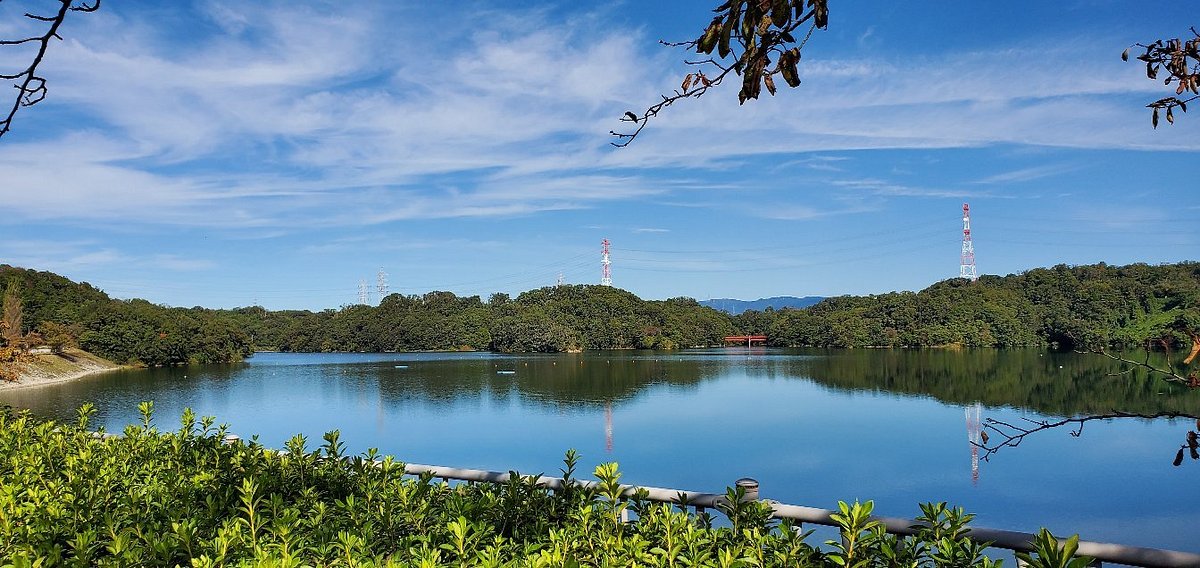 Isaka Dam Cycle Park cover image