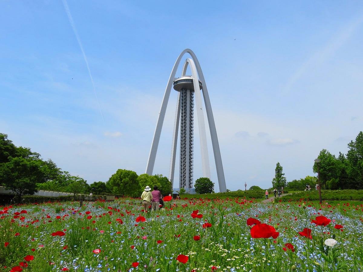 138 Tower Park cover image