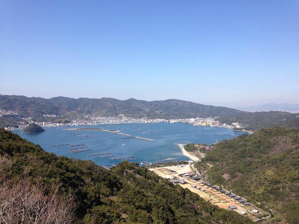 Youth Park cover image