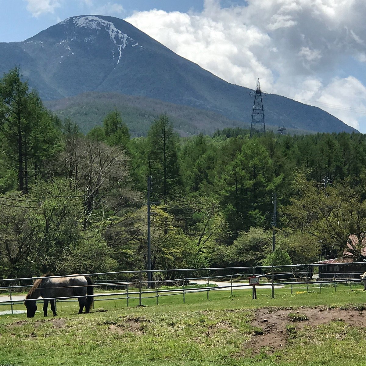 Nagato Farm cover image