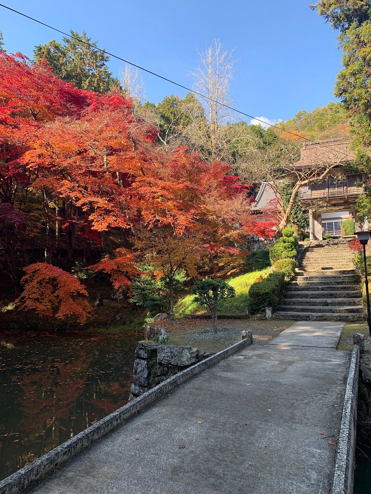 Dokoji Temple cover image