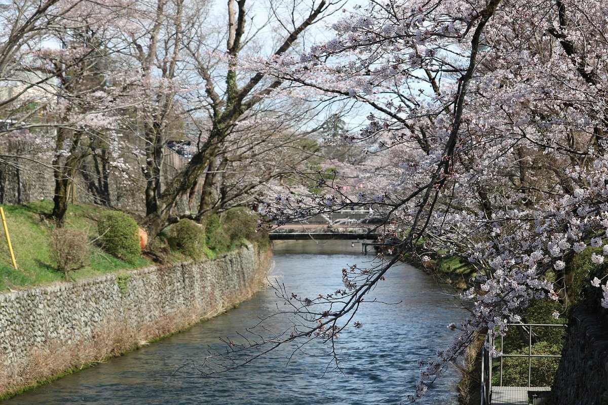 Хамура Суйсуйсэки