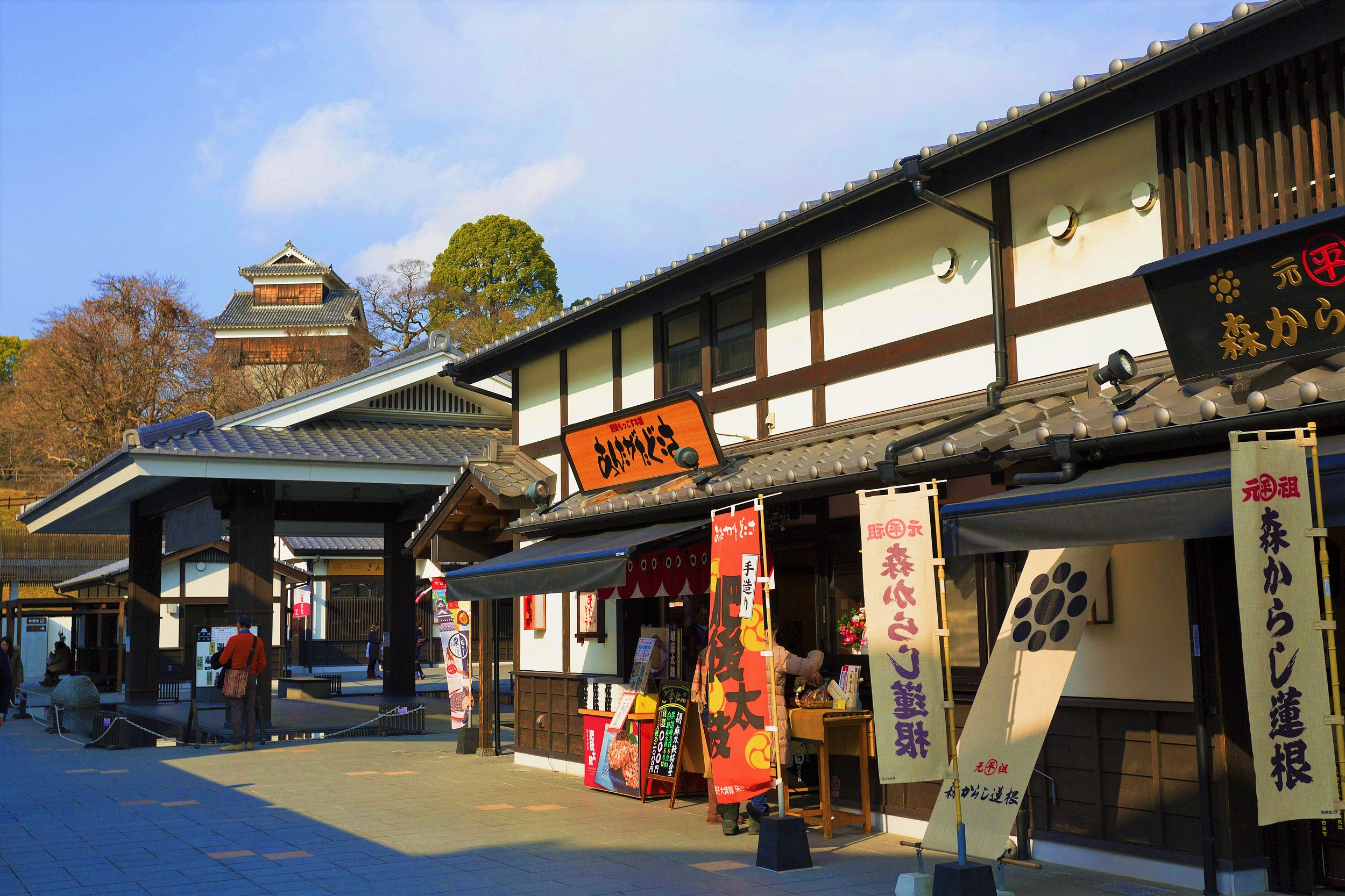 Сакура-но-Баба Дзёсайэн