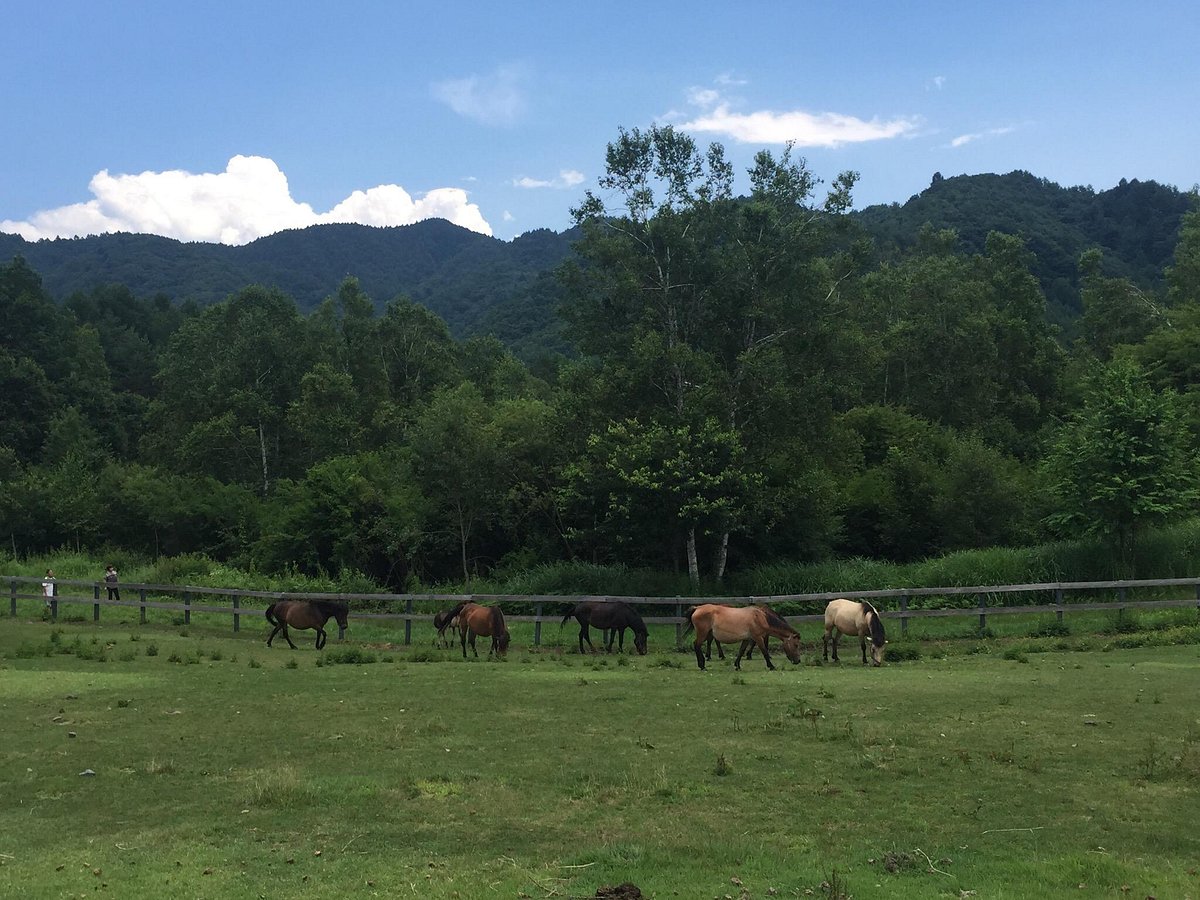 Kisomanosato cover image