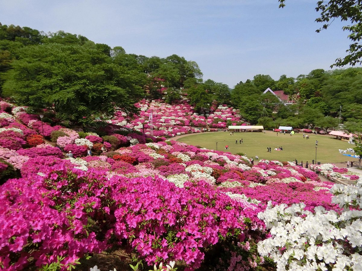 Nishiyama Park cover image