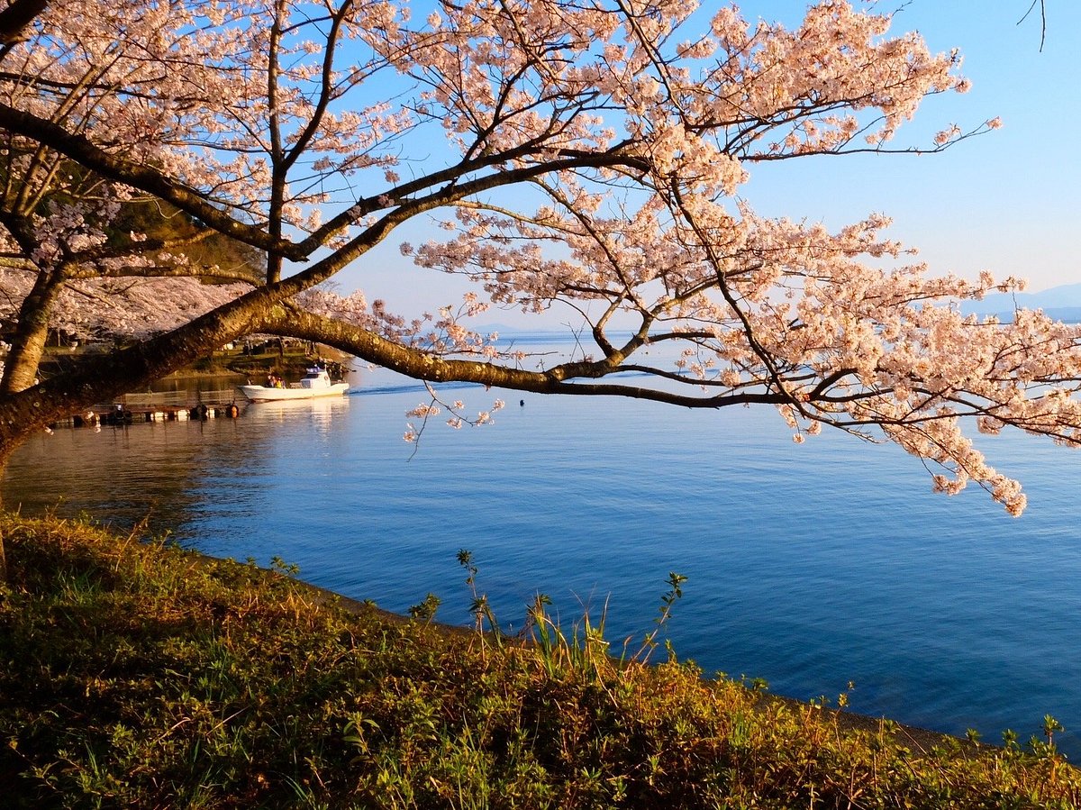 Kaizu Osaki cover image