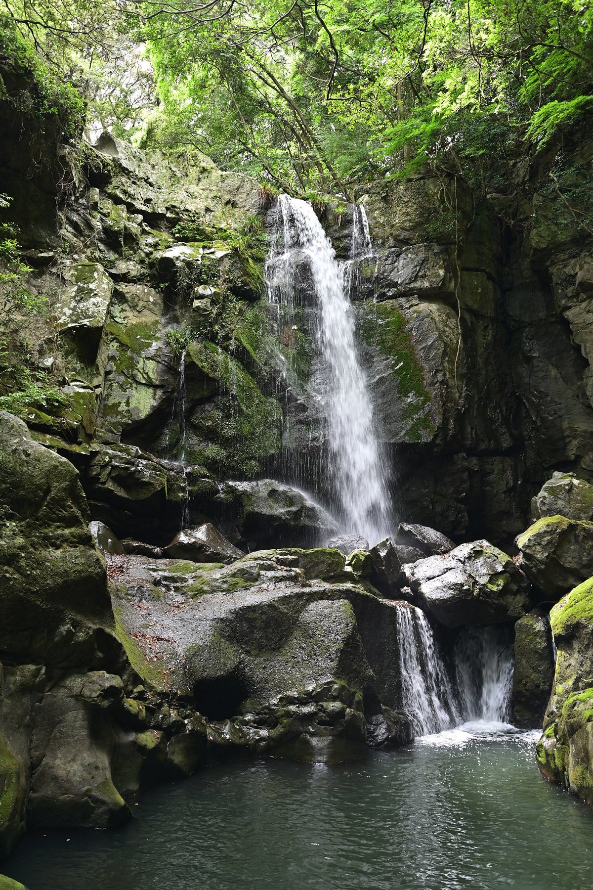 Aiya Falls cover image