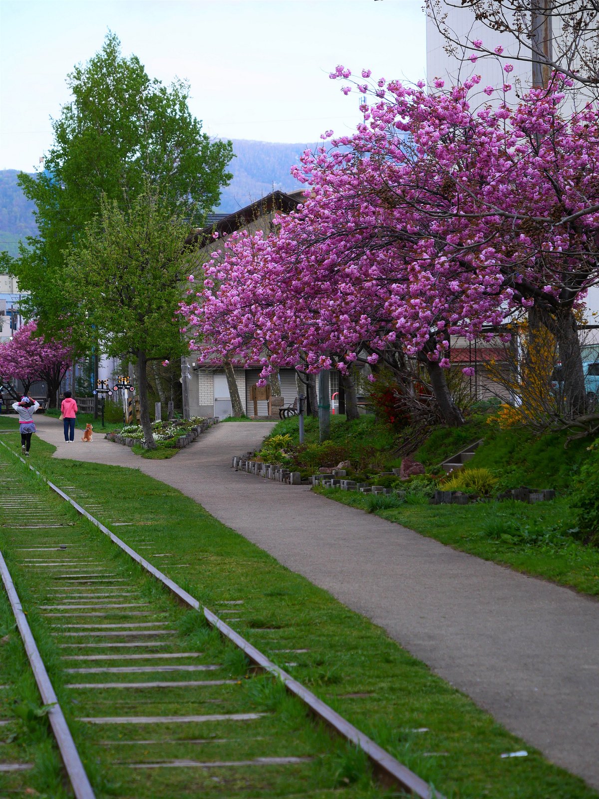 Место бывшей линии Темия