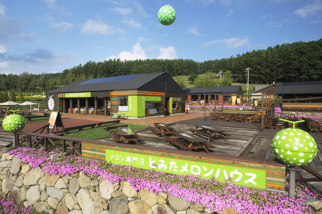 Tomita Melon House: десерты из дыни Фурано — 4