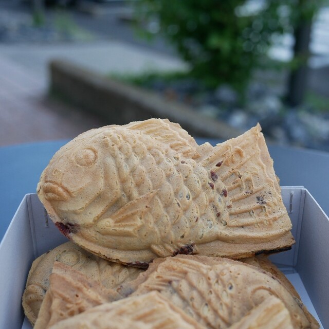 Taiyaki Wakaba: Legendary Single-Mould Taiyaki — 4