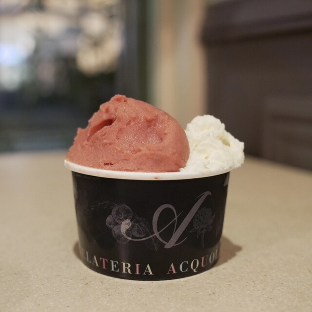 GELATERIA ACQUOLINA: авторское сезонное джелато — 3