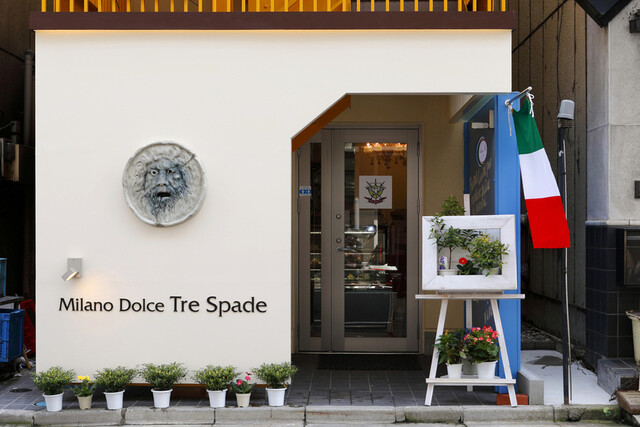 Milano Dolce Tre Spade: фирменный миланский пудинг — 4