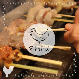 Yakitori shira: авторские якитори от шефа-сомелье — 2