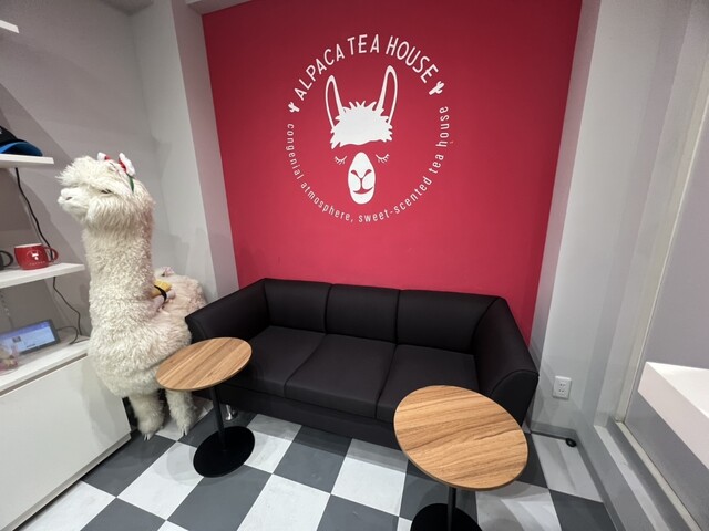 ALPACA TEA HOUSE Shibuya: бабл-ти со свежими фруктами — 2