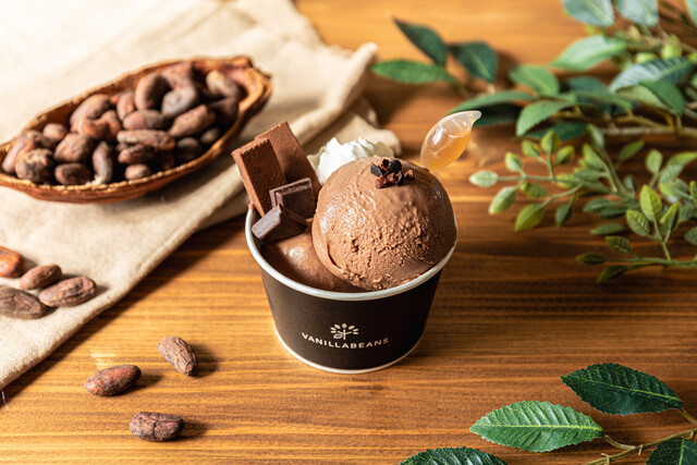 VANILLABEANS Minatomirai honten: шоколадное кафе bean-to-bar — 2