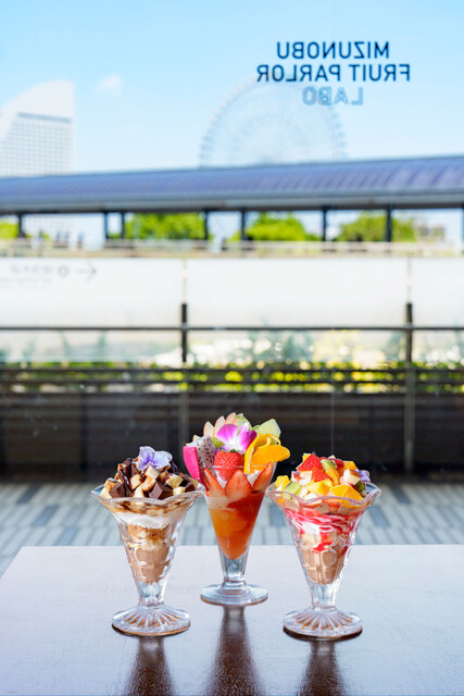 Mizunobu Fruit Parlour Labo: авторские фруктовые парфе — 2