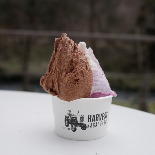HARVEST NAGAI FARM Karuizawa ten: фермерское джелато — 2