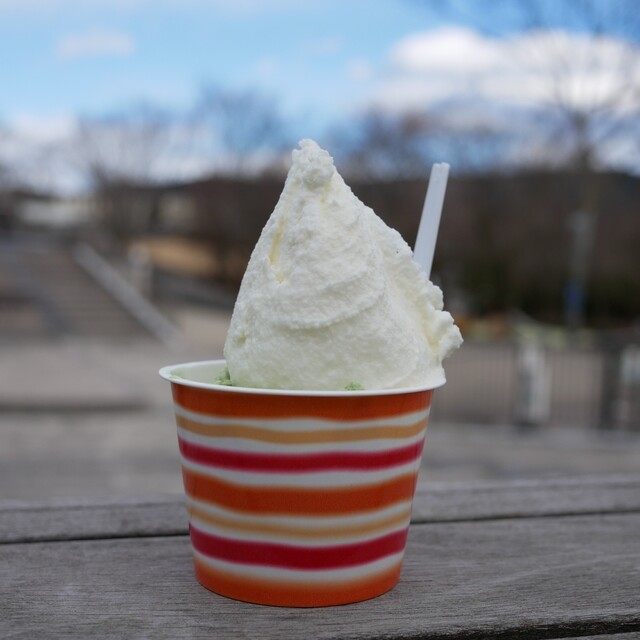 Fuji Asagiri Kogen Fuji Milk Land: отмеченное наградами мороженое у дороги — 2