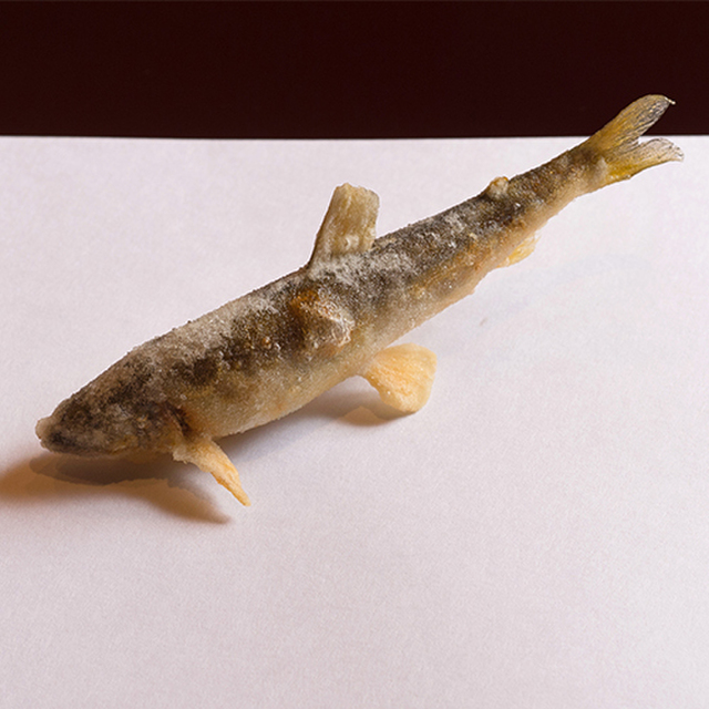 Tempura Kyoboshi: Meisterhaftes Tempura am Tresen — 1