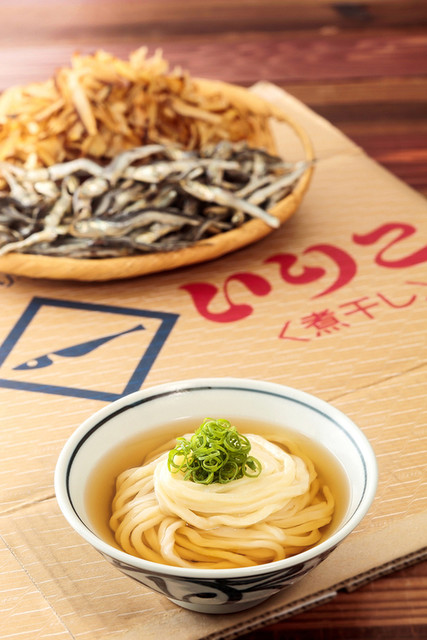 Tsukumo Udon Shiokouji honten: домашняя лапша удон в стиле сануки — 1