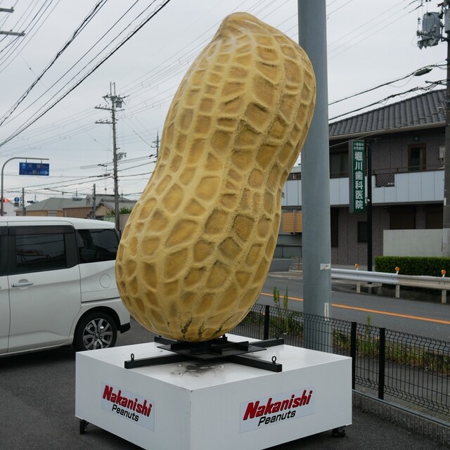 Nakanishi Peanuts: арахисовые снеки от производителя — 2