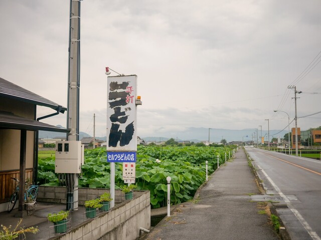 Yamashita Udon: родина буккакэ-удона, самообслуживание — 5