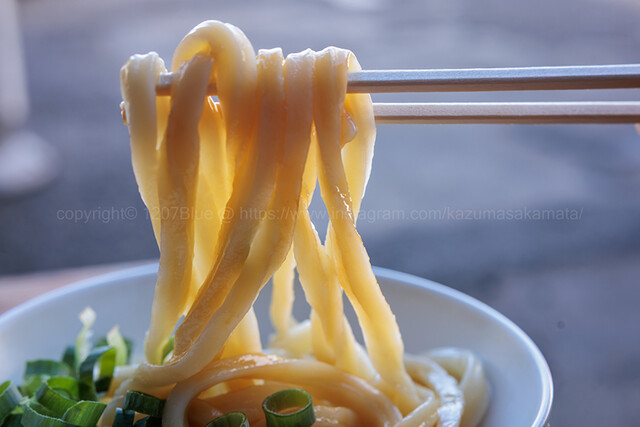Teuchi Udon Tamura: классический сануки-удон самообслуживания — 4