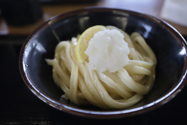 Honkaku Teuchi Udon Hayuka: эталонный сануки-удон — 1