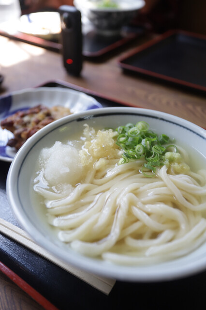 Udon Ippuku: удон сануки с тонкой упругой лапшой — 5