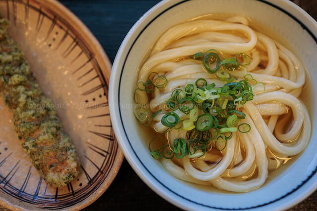 Miyatake Udon: сануки-удон ручной нарезки, горячий или холодный — 1