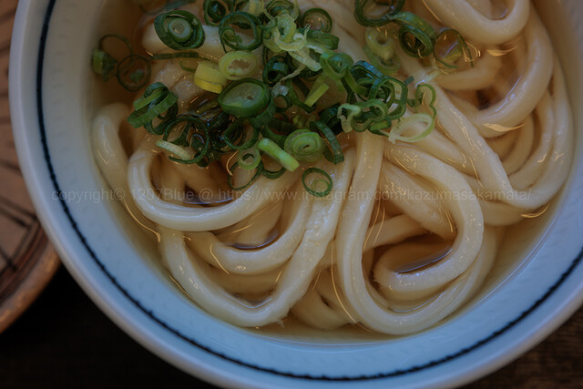 Miyatake Udon: сануки-удон ручной нарезки, горячий или холодный — 5