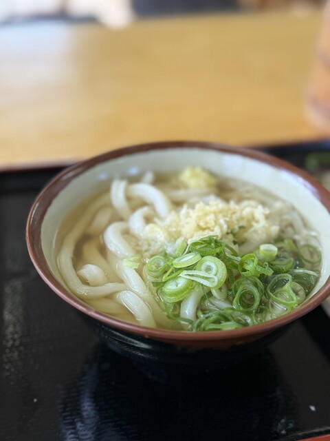 Teuchi Udon Masuya: сануки-удон исключительной плотности — 5