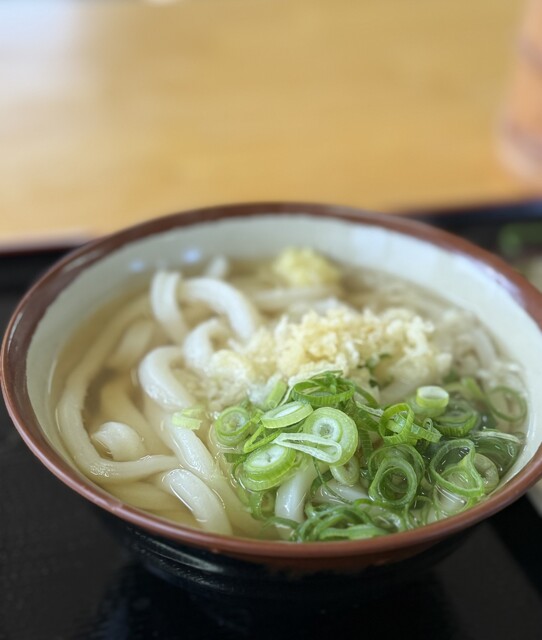 Teuchi Udon Masuya: сануки-удон исключительной плотности — 1