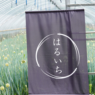 Negi Nabe Senmon Ten Haruichi: ресторан, где главное блюдо — нэги-набэ — 2