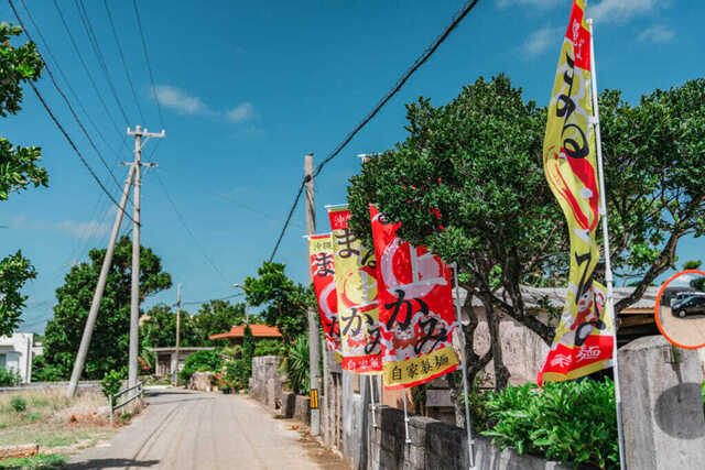Okinawa Soba Marukami: домашняя лапша и бульон на основе кацуобуси — 3