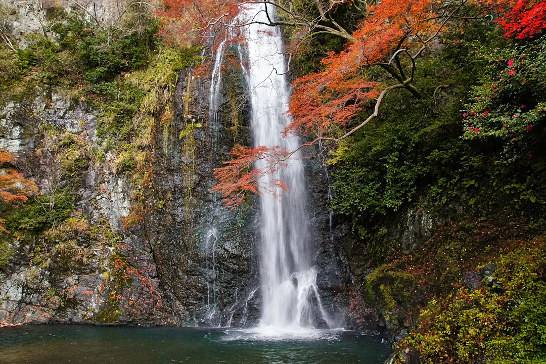 Неподалеку от Expocity, в городе Миноо, можно прогуляться по огромному парку и дойти до водопада