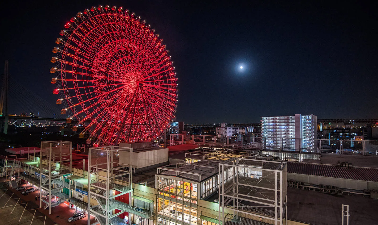 В «Темпозан Харбор Виллидж» можно прокатиться на колесе обозрения за 900 иен