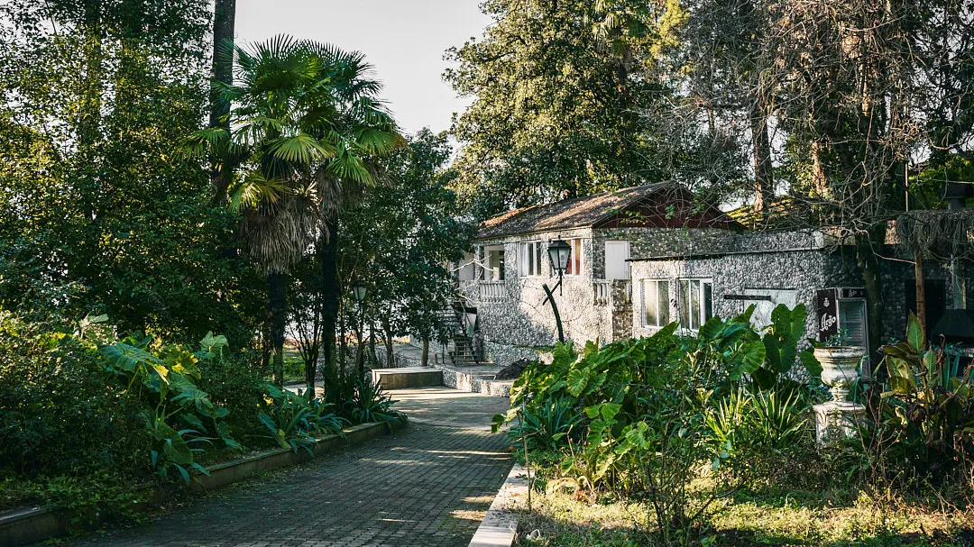 Посещение батумского ботанического сада стоит 15 лари