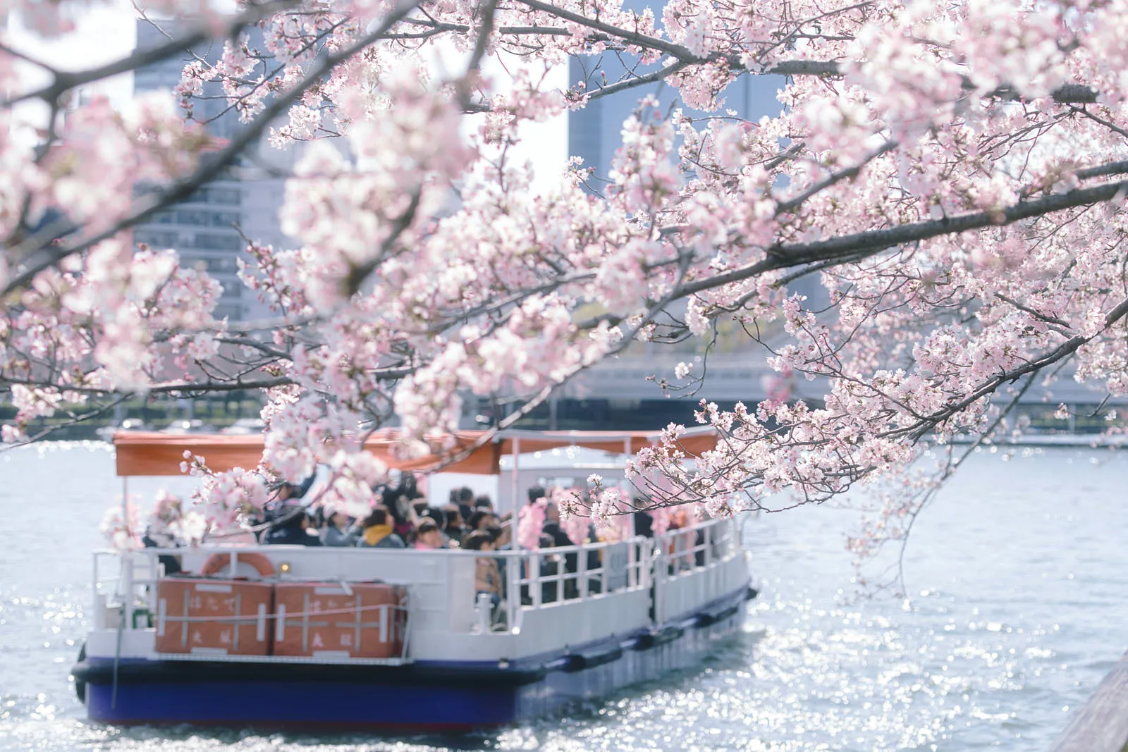 В Осаке четыре разных сезона: лето жаркое и влажное, температура часто достигает плюс 35 градусов, осень комфортная, теплая погода держится до ноября. Фото: Yux Xiang / Unsplash.com