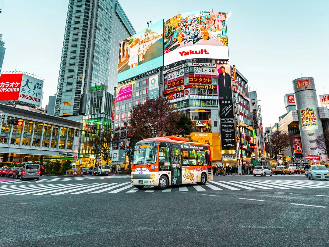 Общественный транспорт Токио обслуживается разными компаниями-перевозчиками, даже метро и монорельсы принадлежат не одной, а нескольким фирмам. Стоимость проезда зависит от маршрута и пересадок